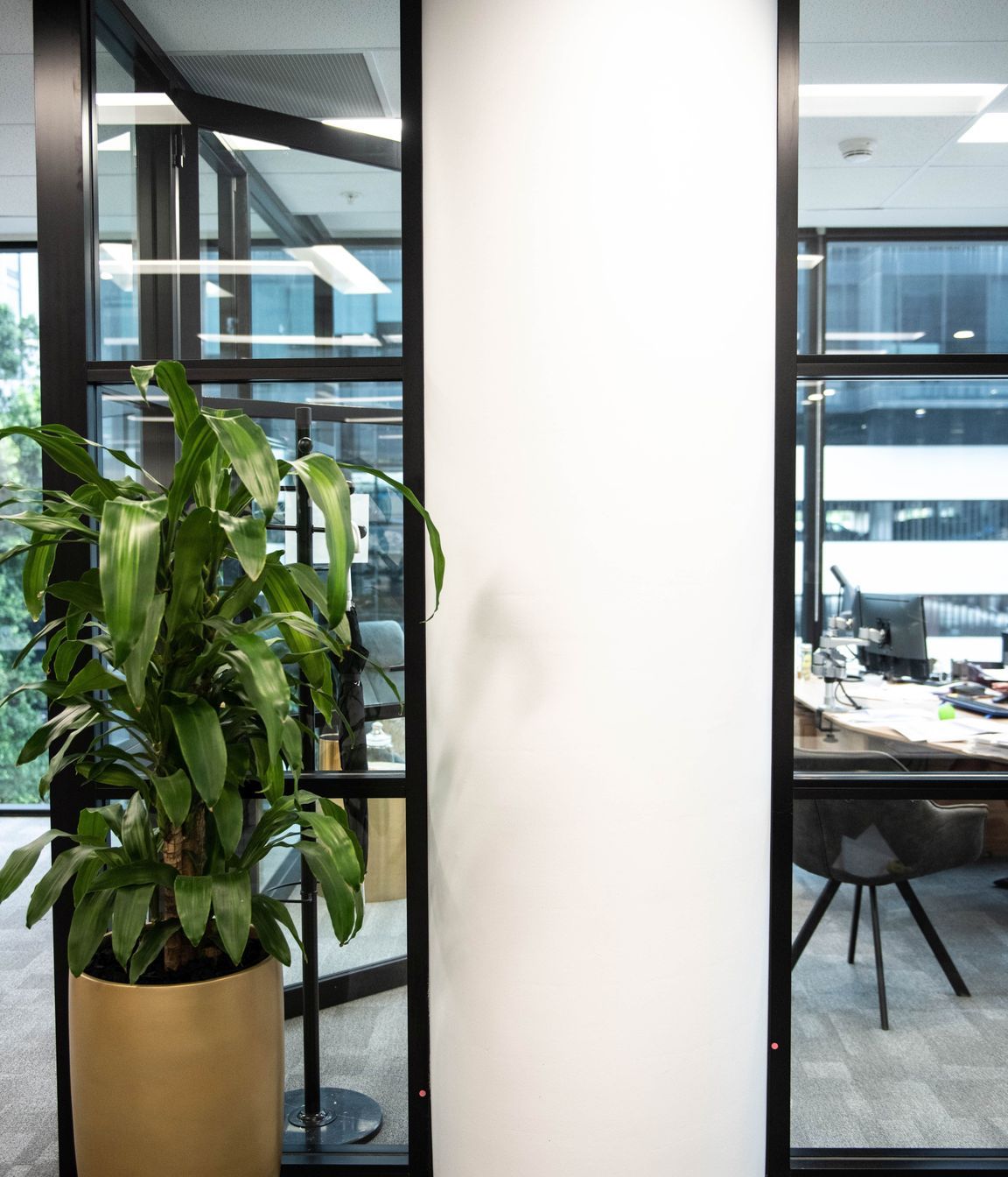 Mascot Office