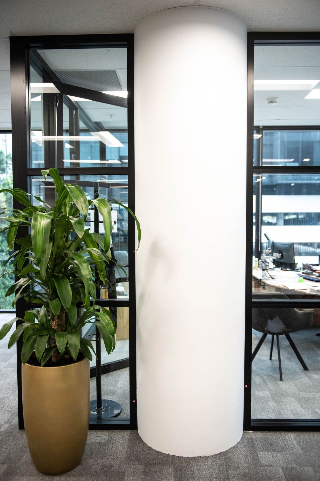 Mascot Office