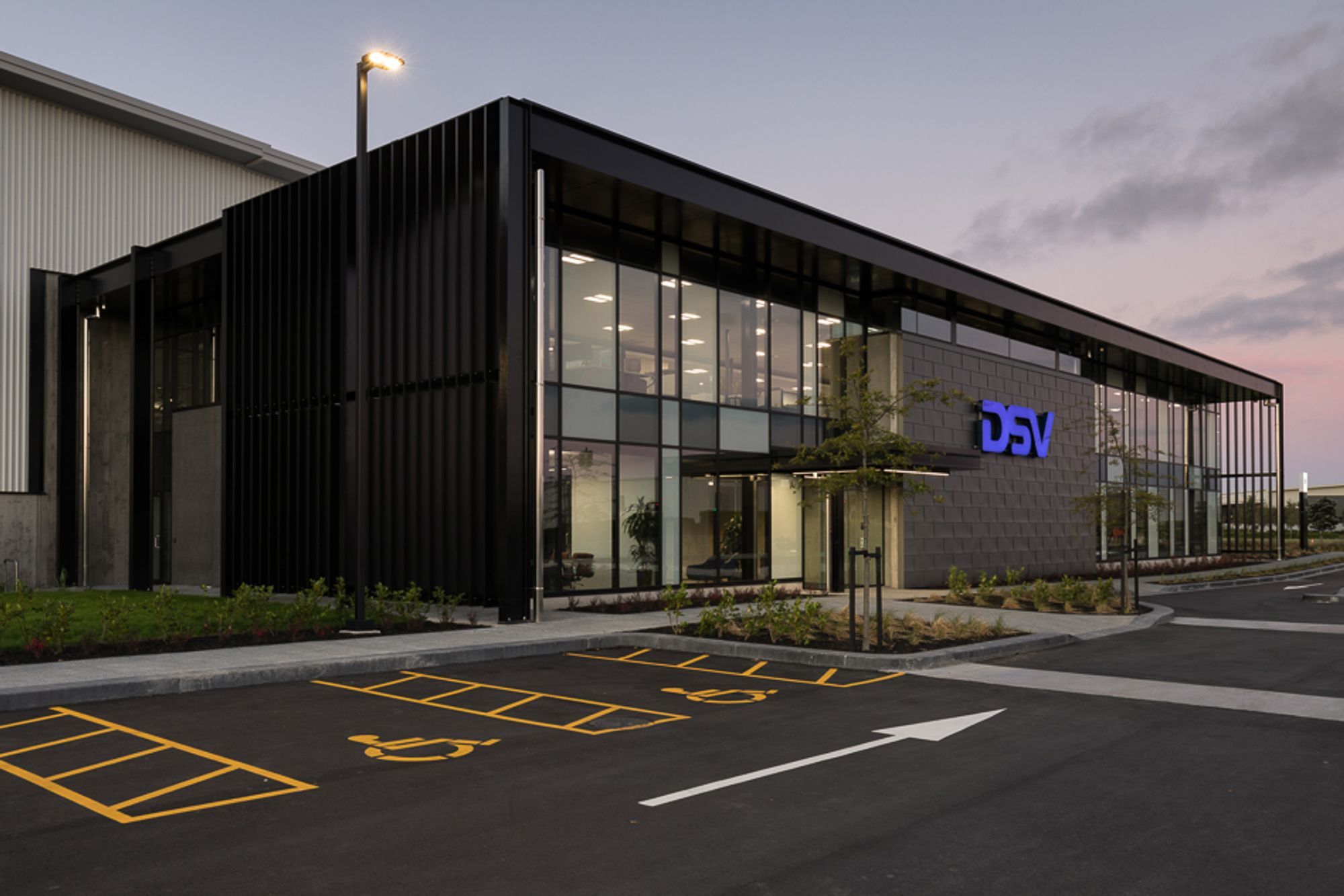 DSV