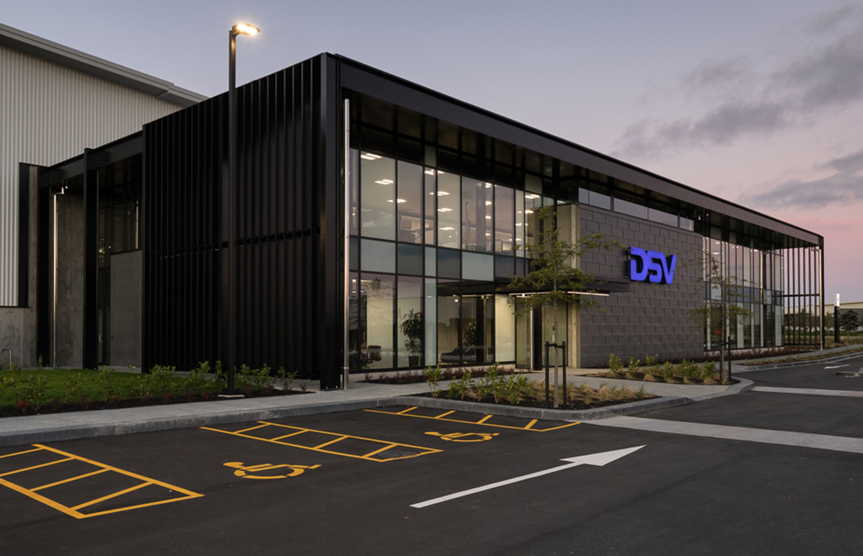 DSV