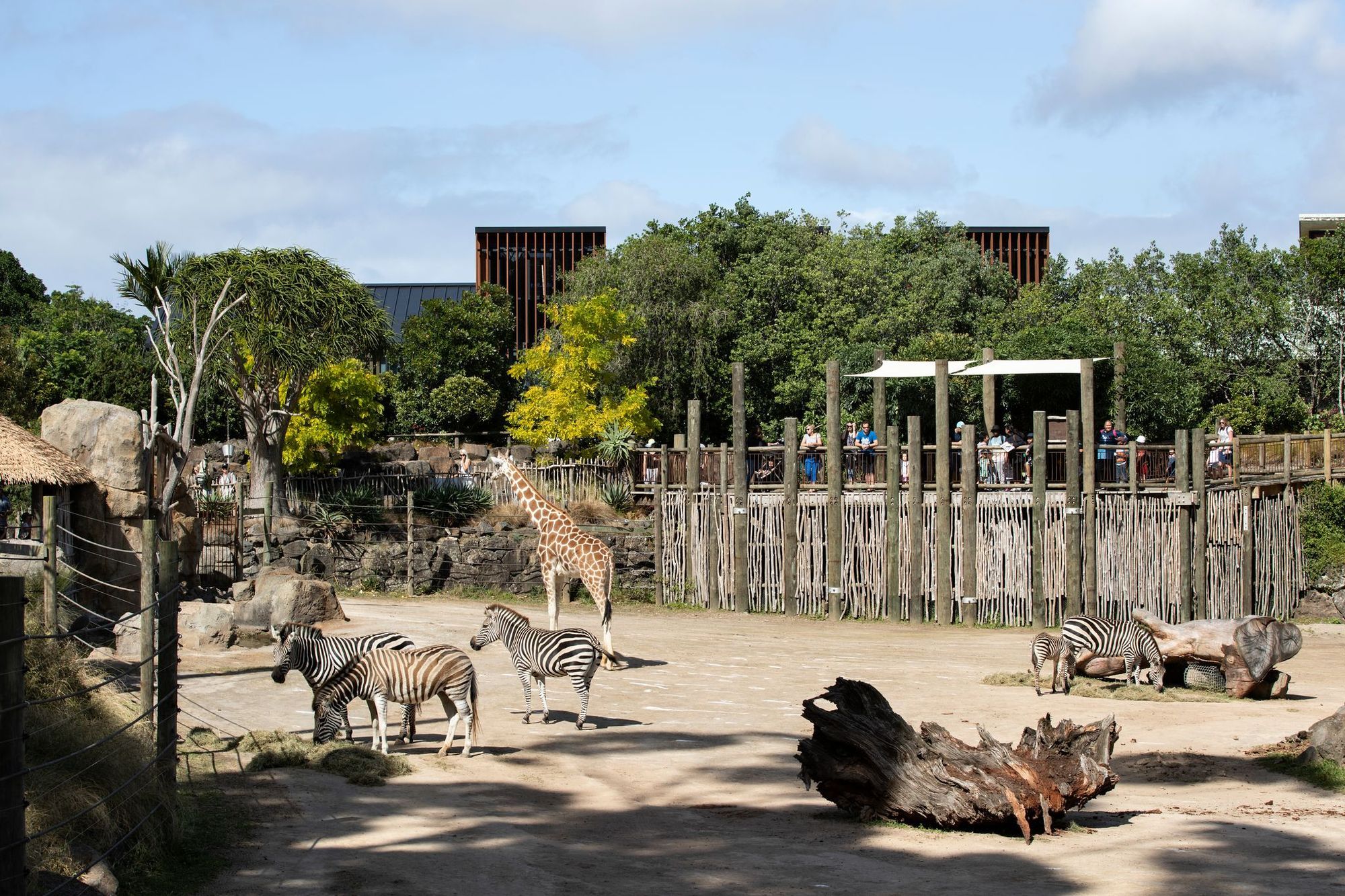 Auckland Zoo Administration Building