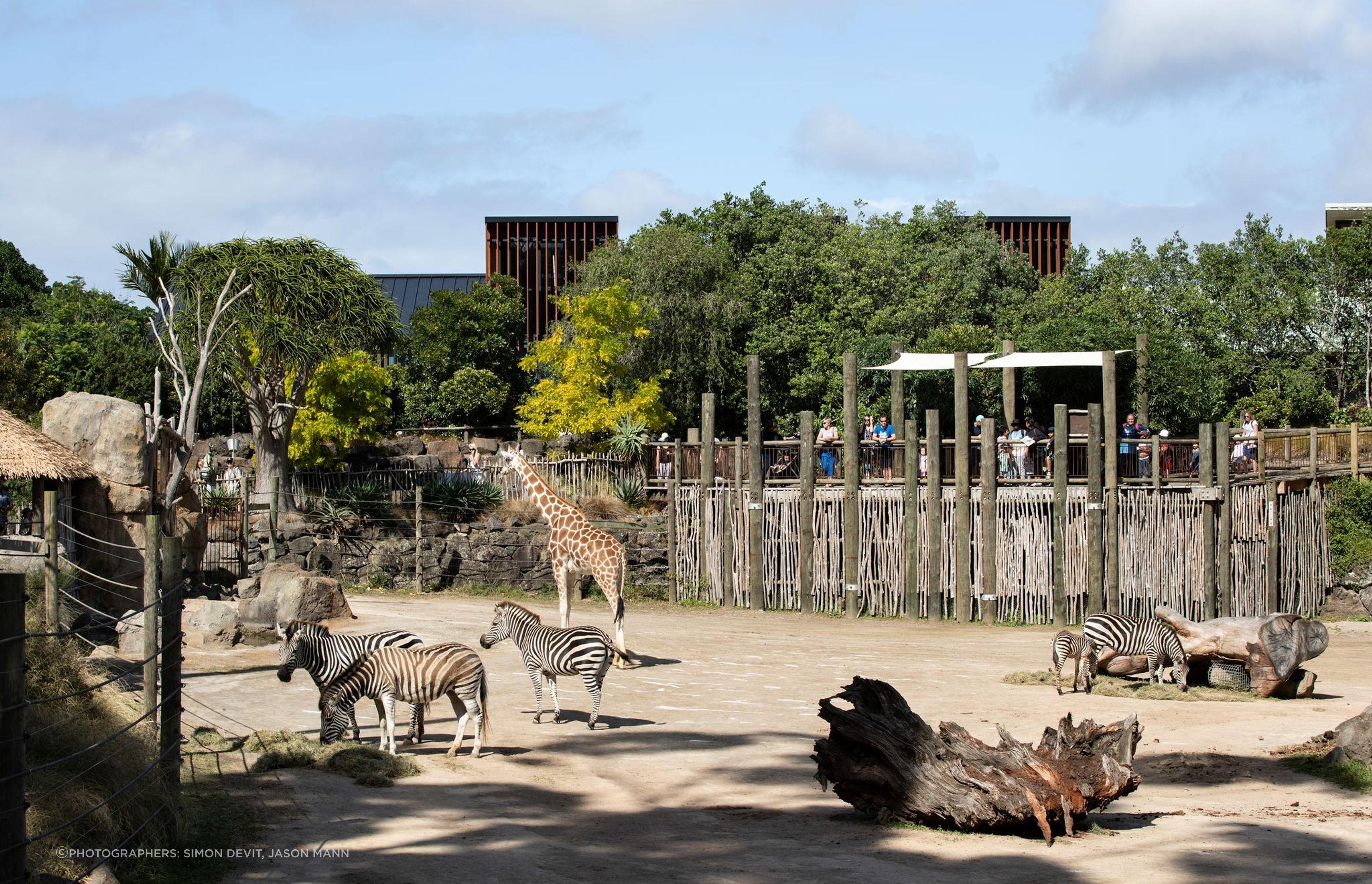 Auckland Zoo Administration Building