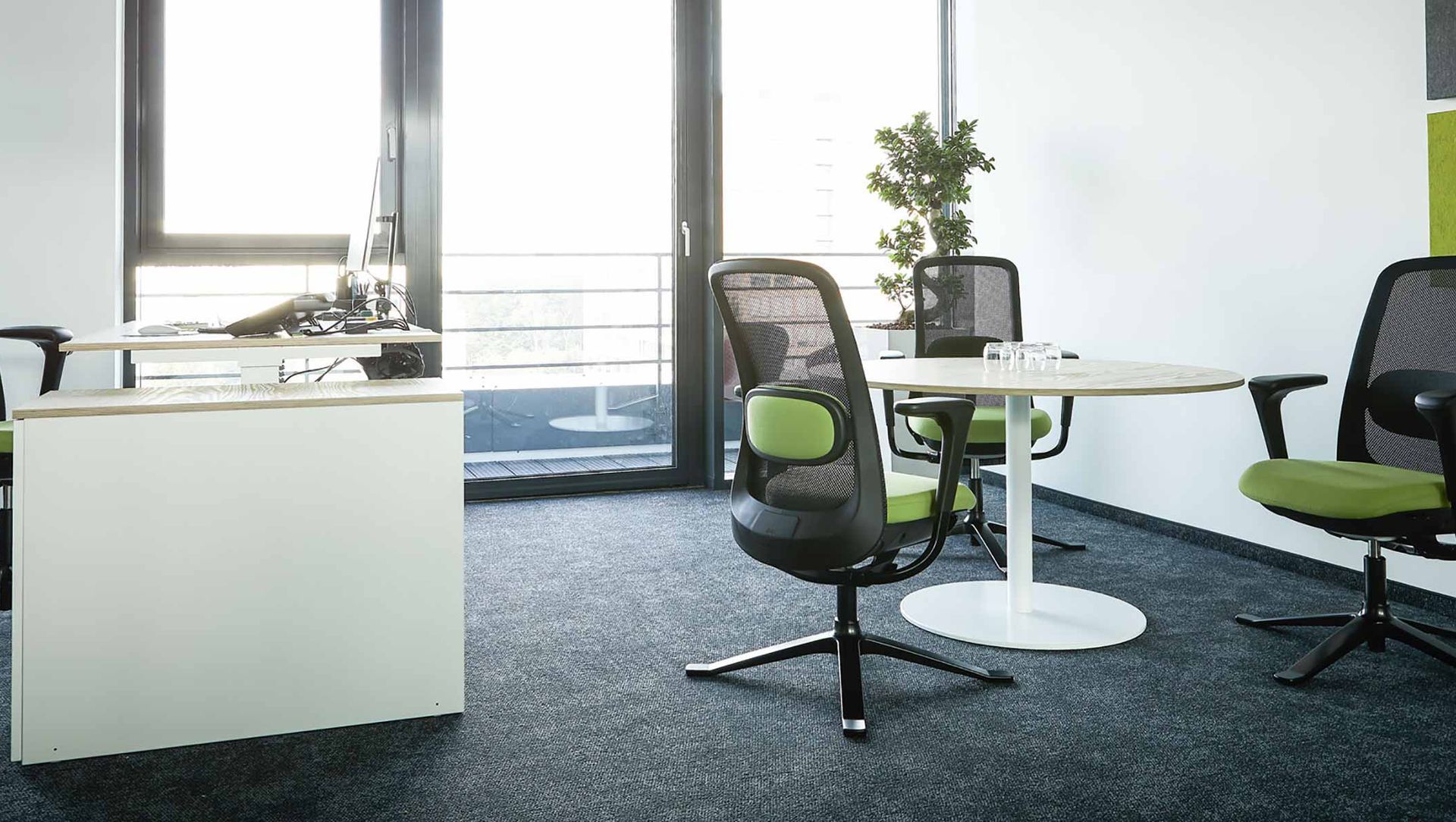 Der Grüne Punkt banner