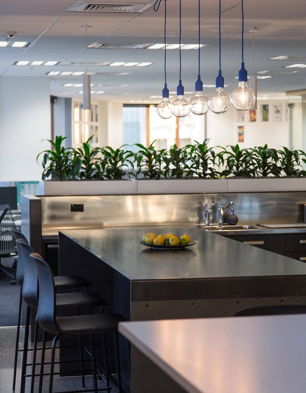 The Building Intelligence Group, Auckland