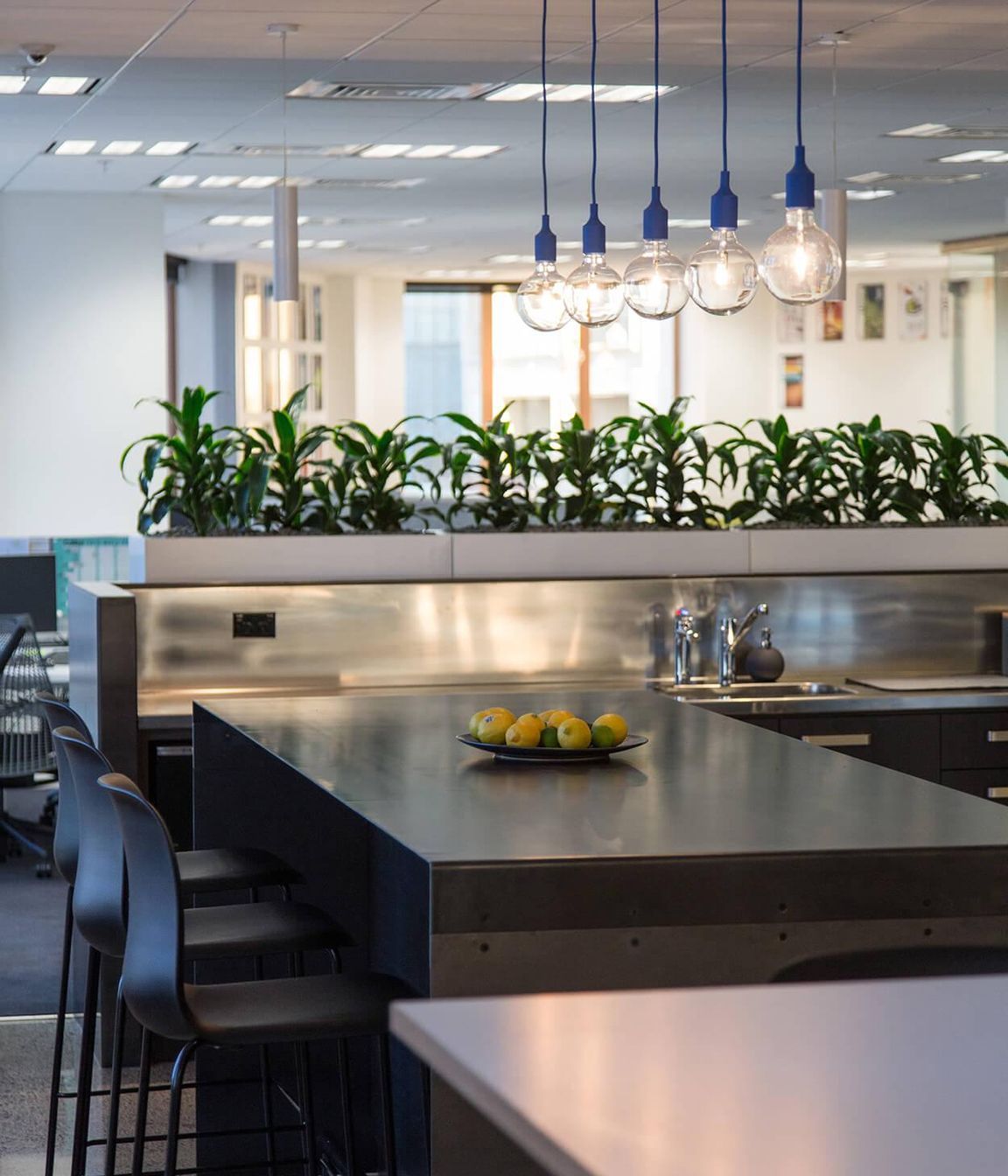 The Building Intelligence Group, Auckland