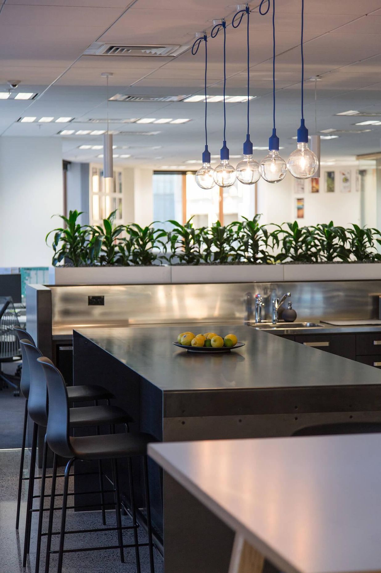 The Building Intelligence Group, Auckland