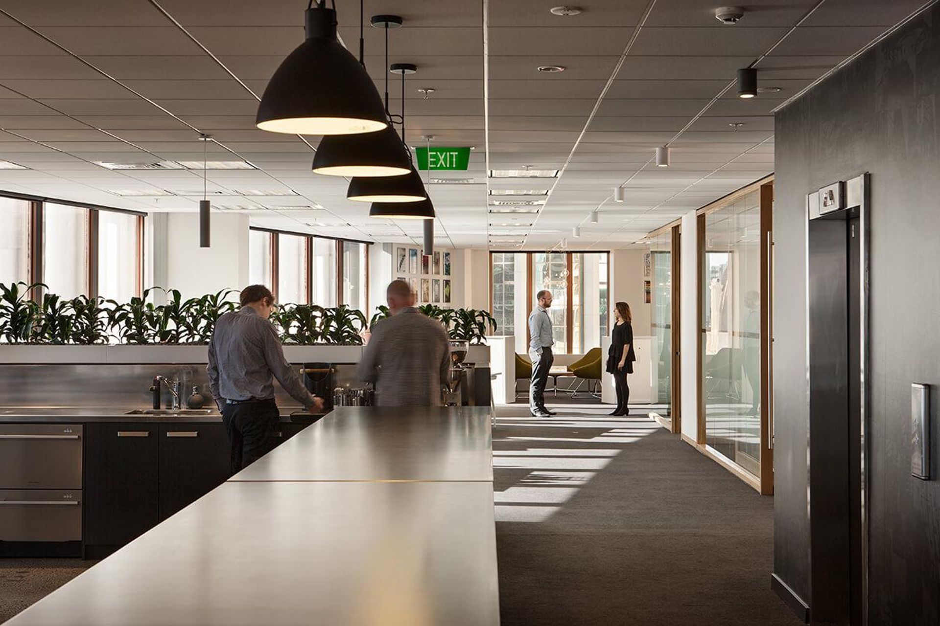 The Building Intelligence Group, Auckland