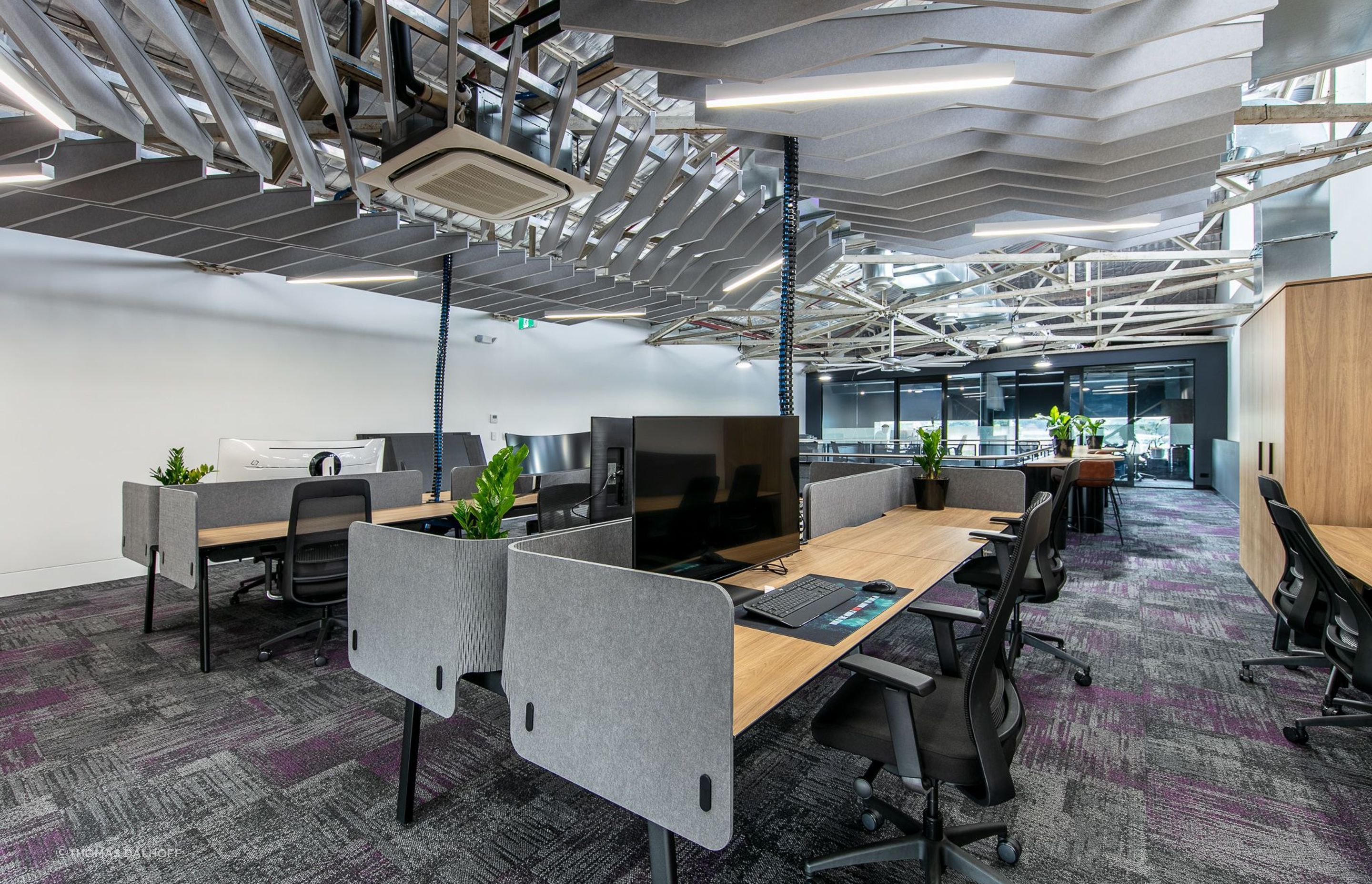 Illuvium | Platypus, North Sydney