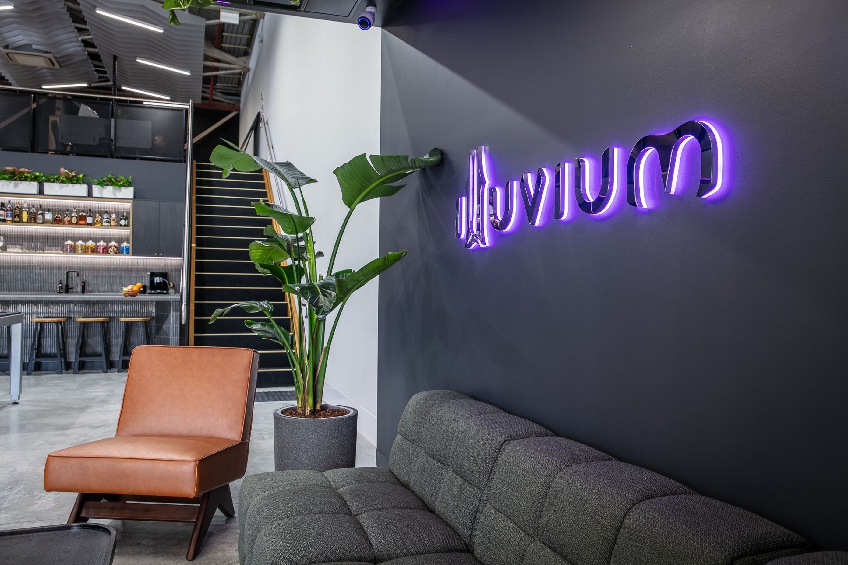 Illuvium | Platypus, North Sydney