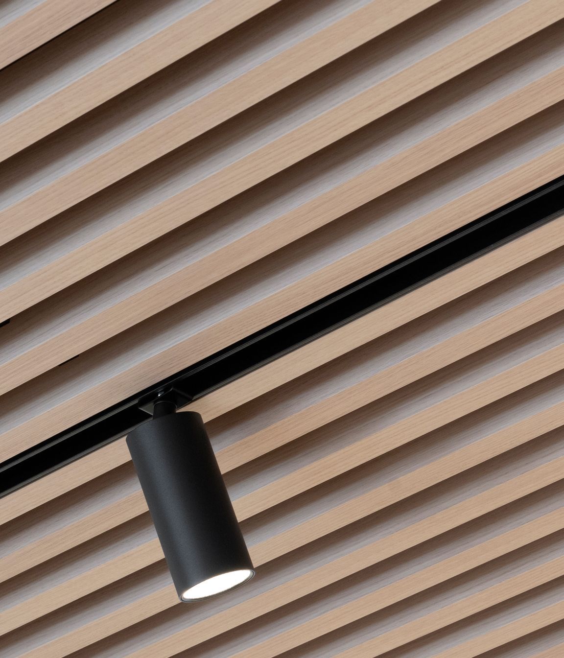 mirvacbondiscreenwoodpanels-10.jpg
