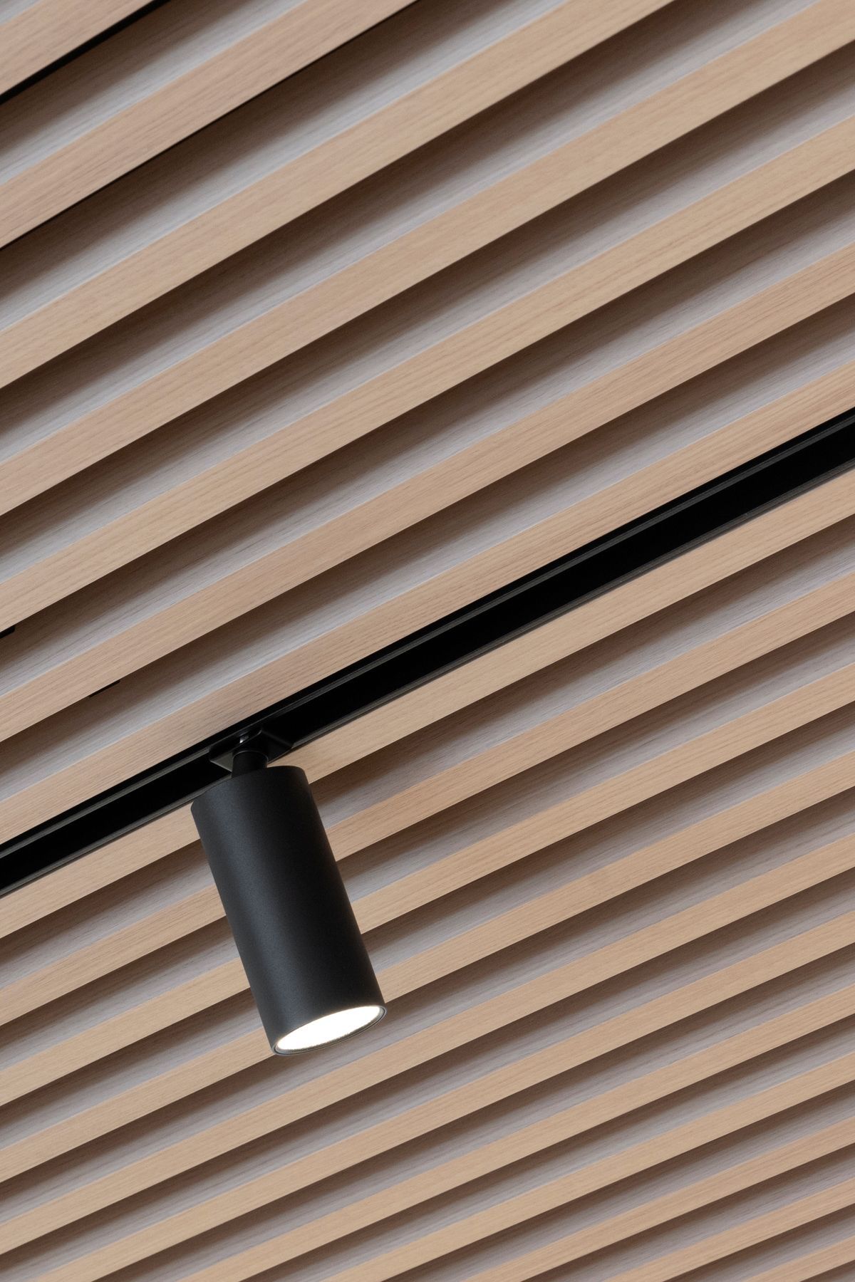 mirvacbondiscreenwoodpanels-10.jpg