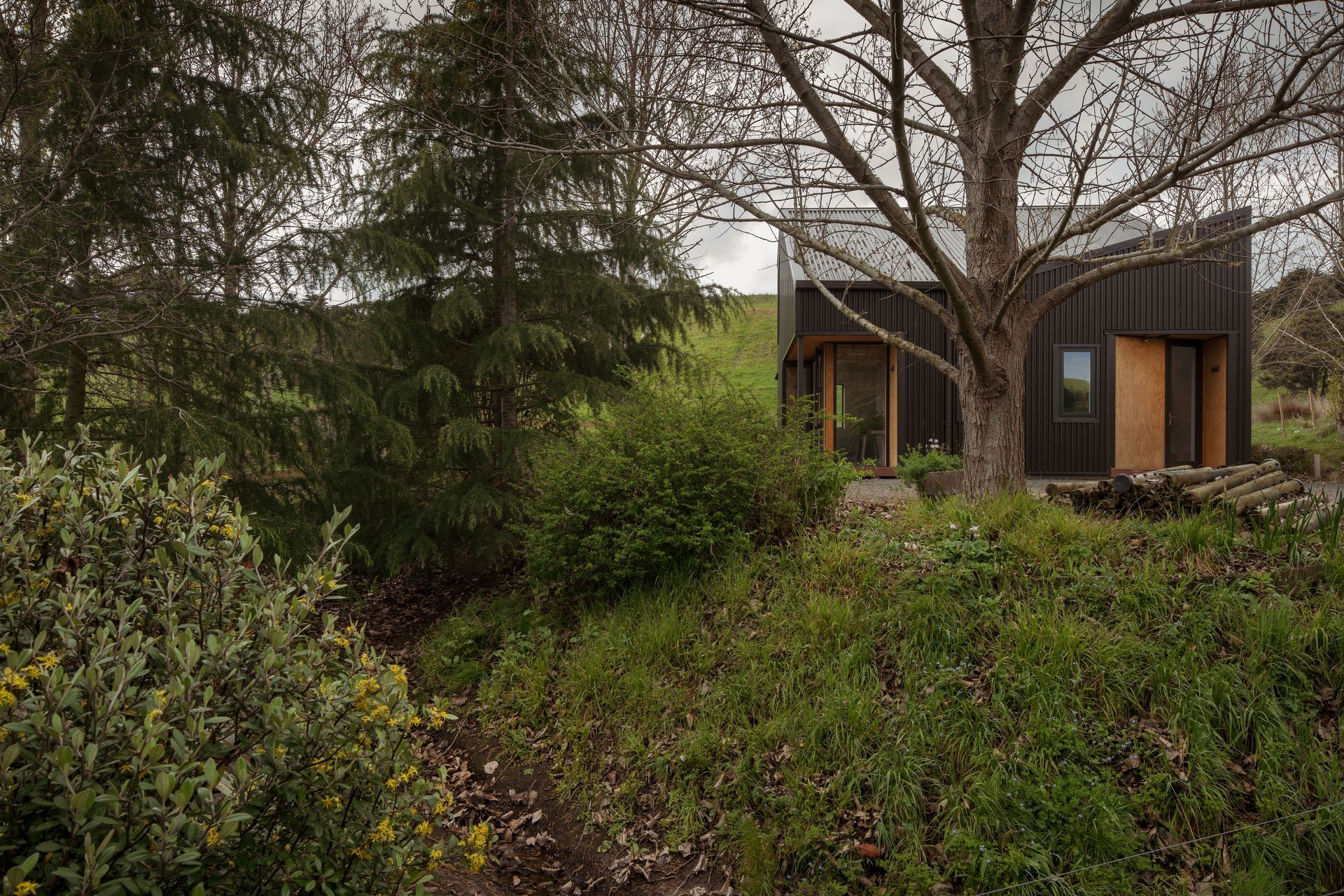 Ponatahi Artists Studio