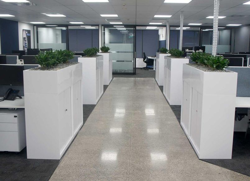 Avondale Office Fit-Out
