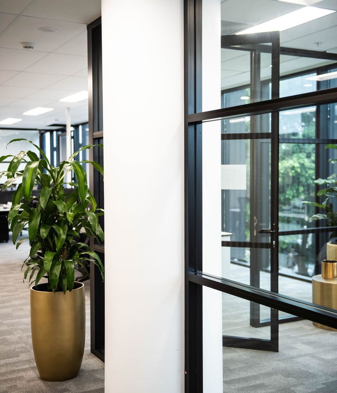 Mascot Office