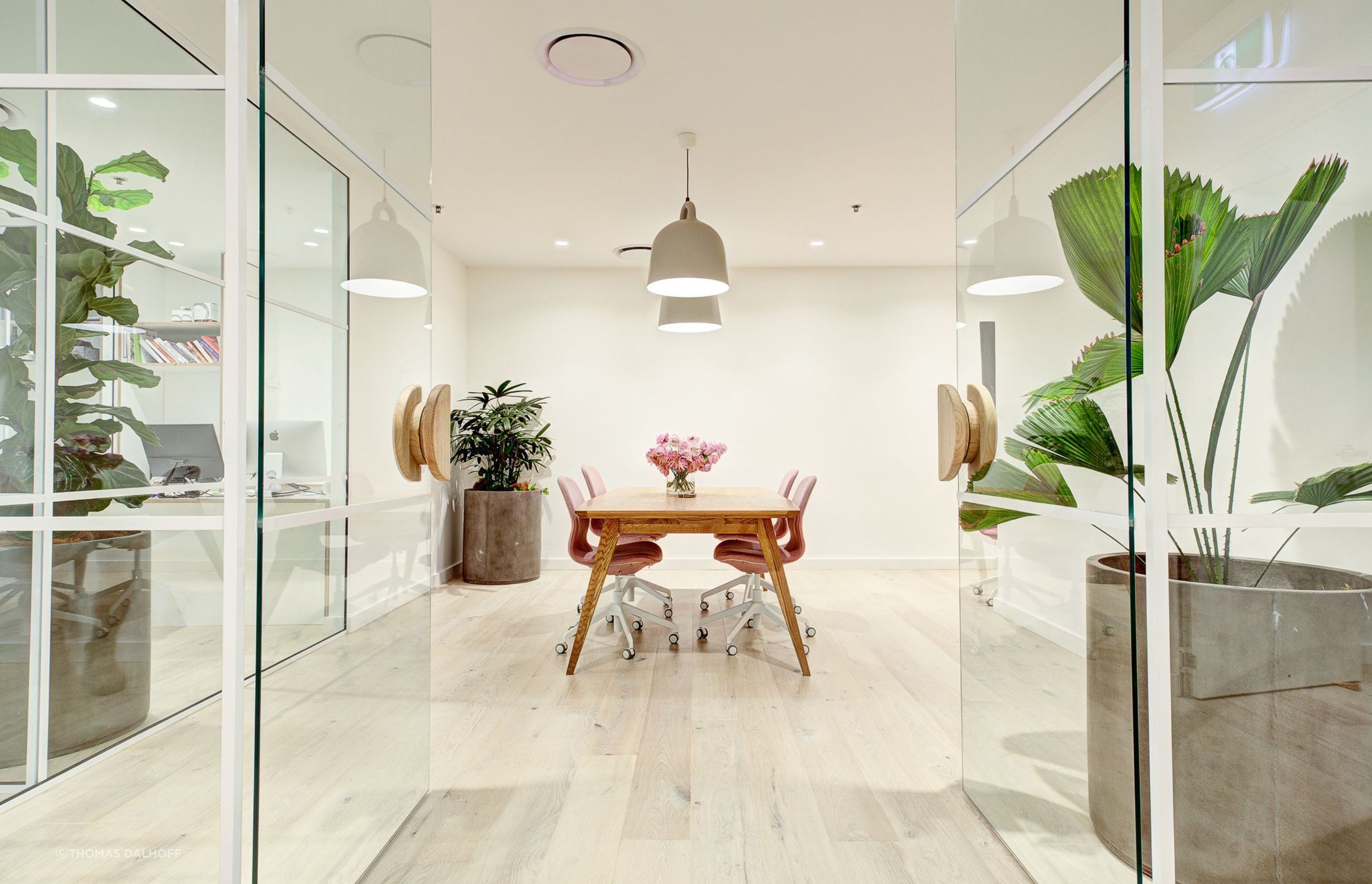 Vida Glow | Maddox St, Alexandria