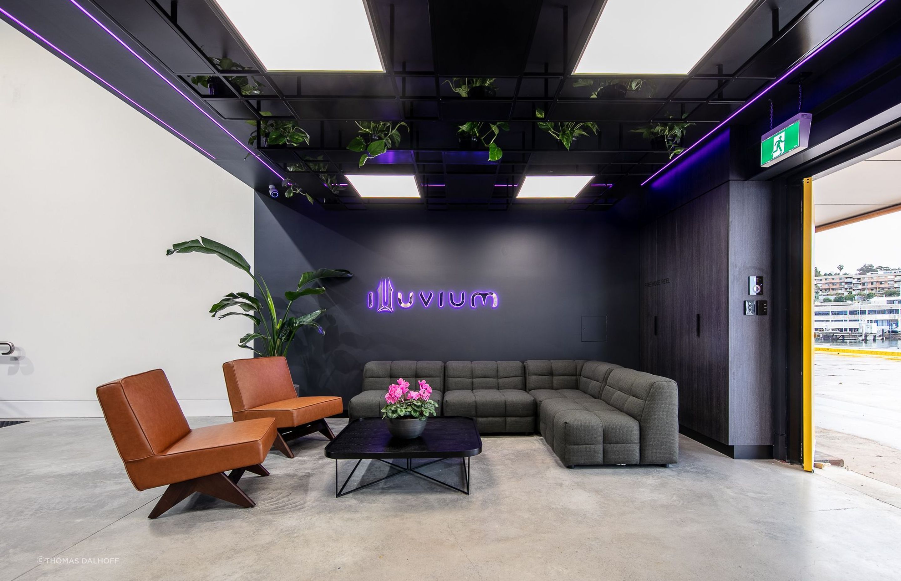 Illuvium | Platypus, North Sydney