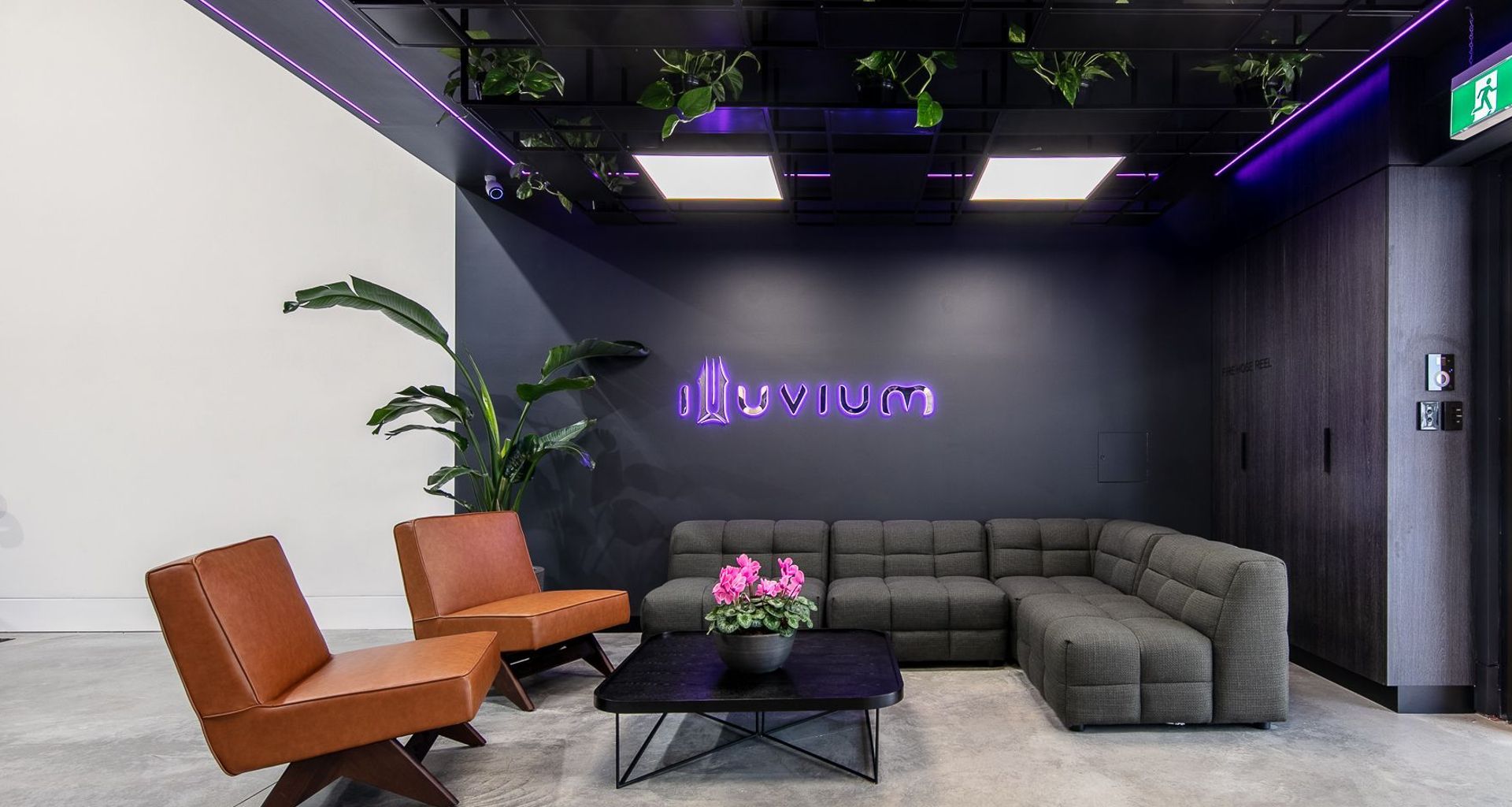 Illuvium | Platypus, North Sydney banner