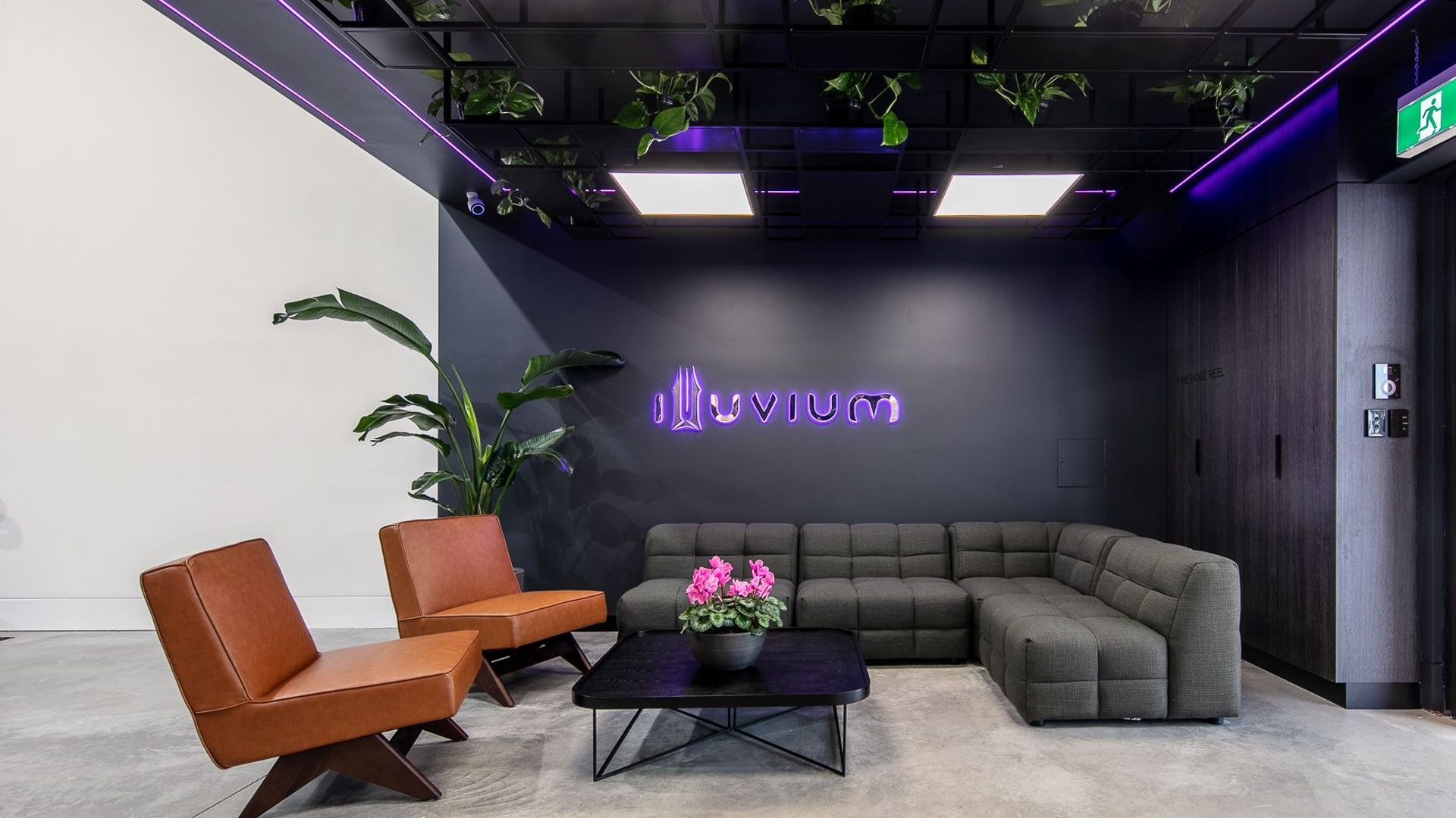 Illuvium | Platypus, North Sydney banner