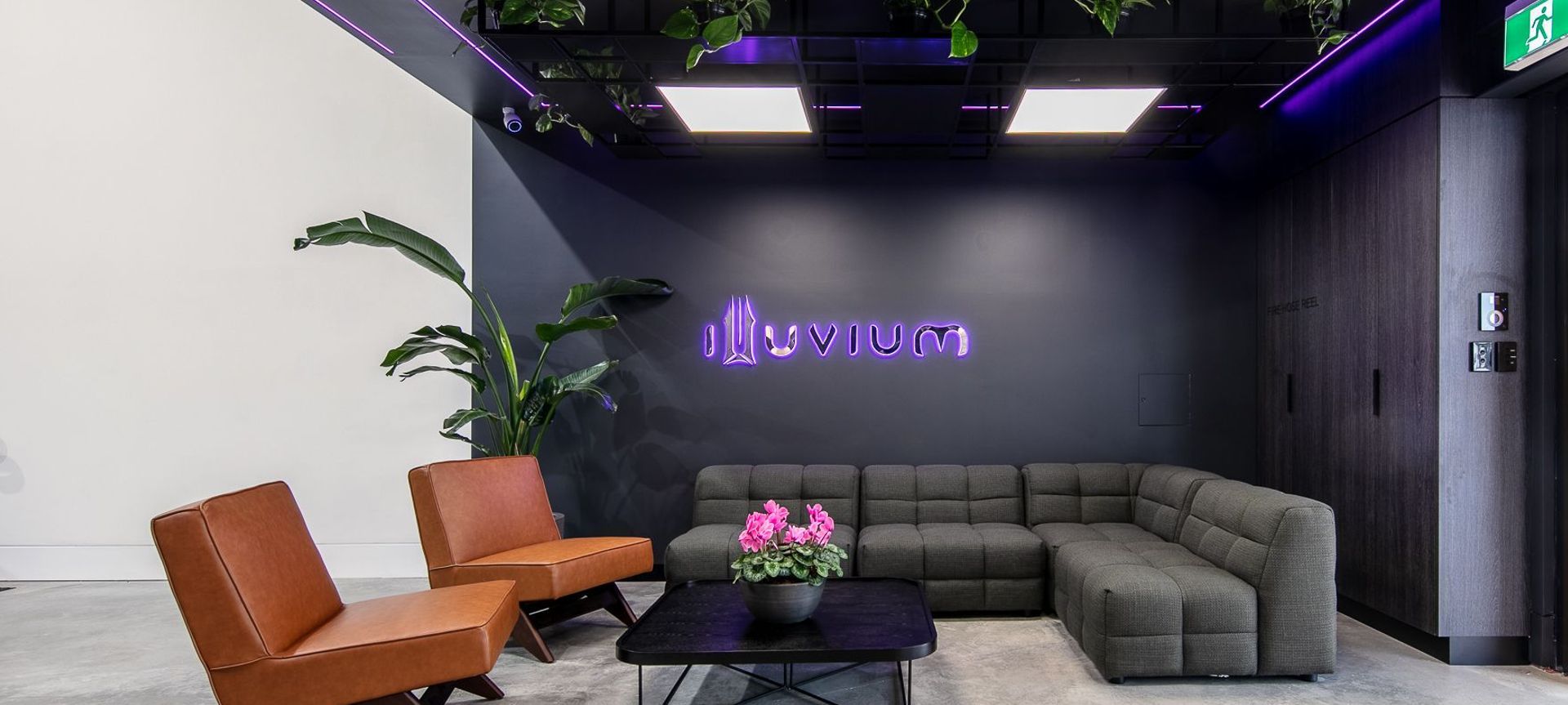 Illuvium | Platypus, North Sydney banner