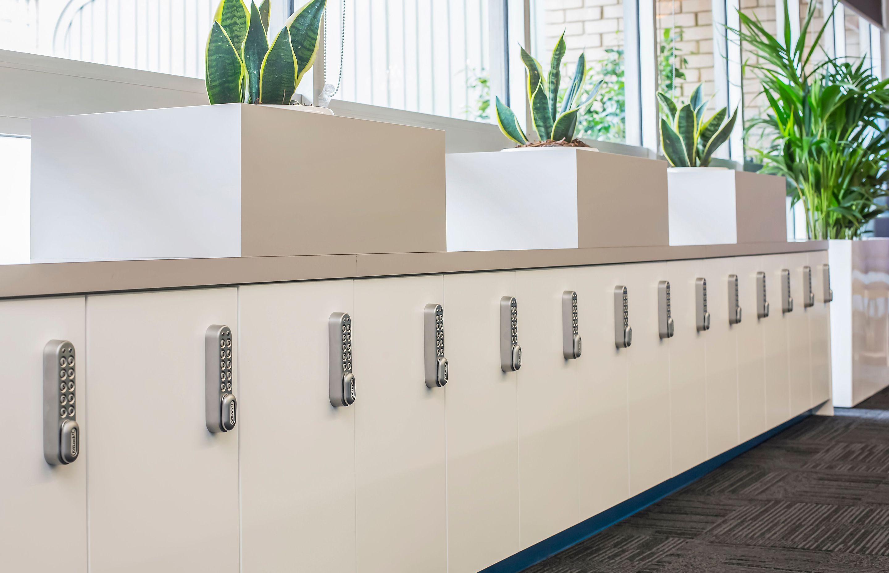 CEDP Ground Office Fit Out