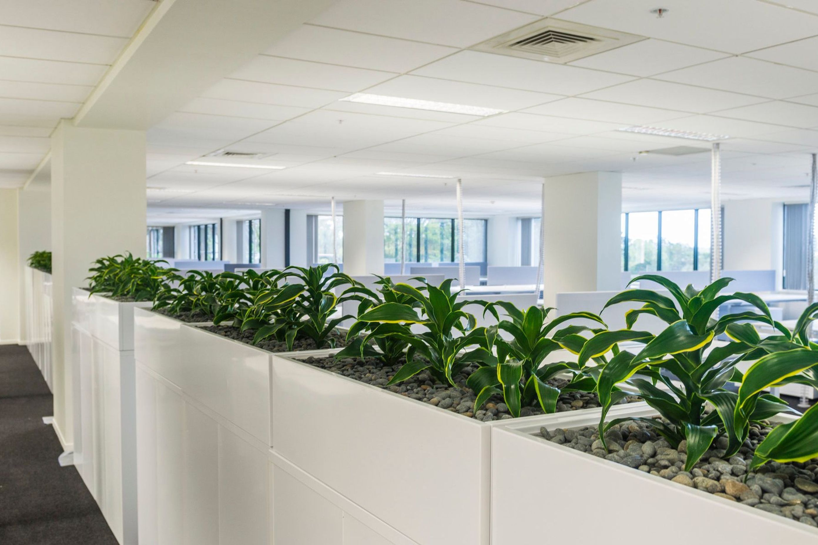 Visionstream Office Refurbishment