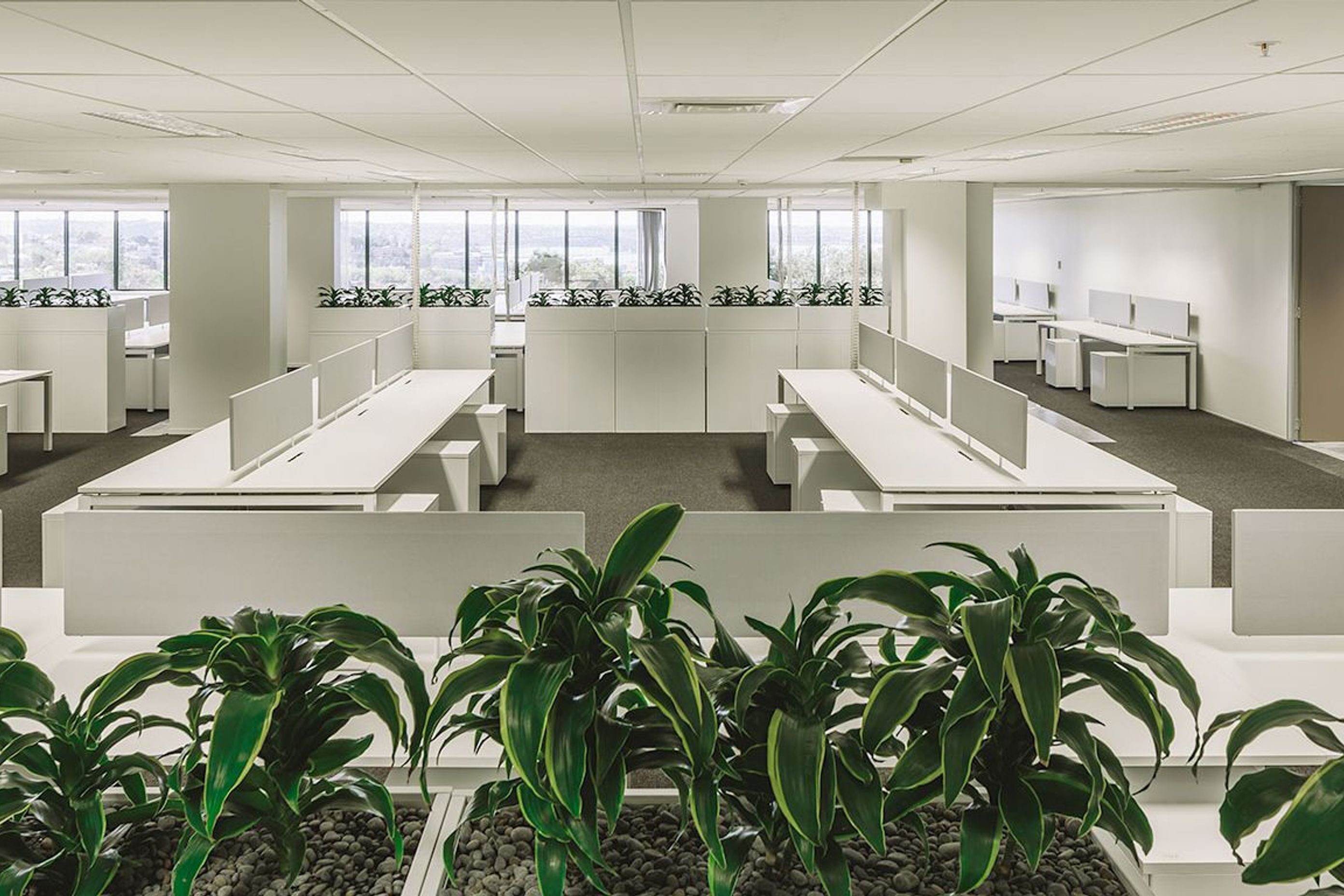 Visionstream Office Refurbishment