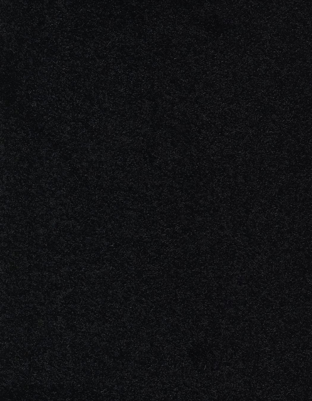 ZX Security Wellington