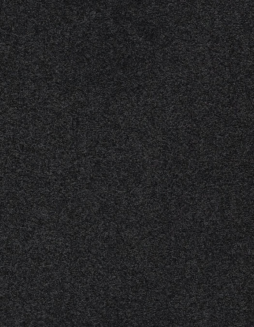 ZX Security Wellington