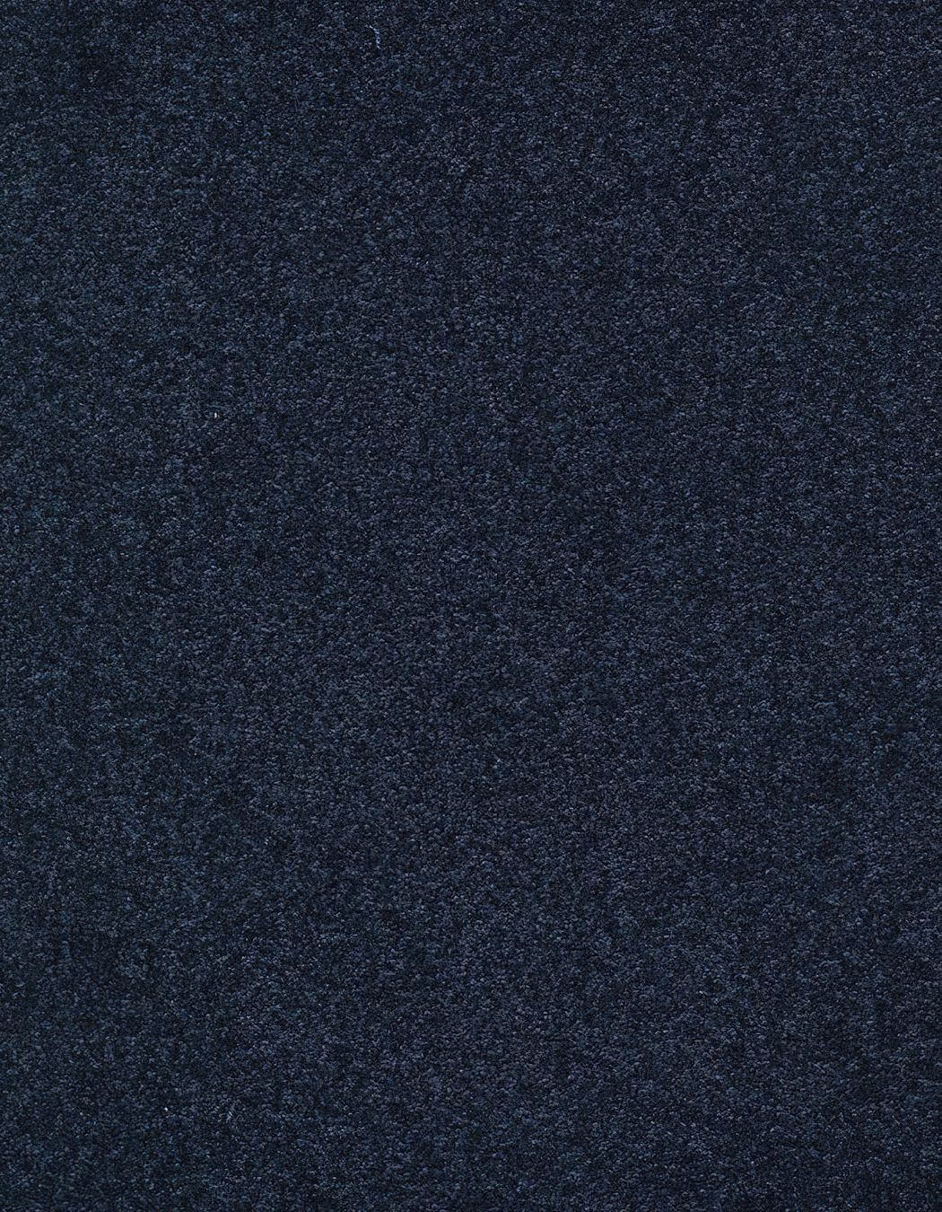 ZX Security Wellington