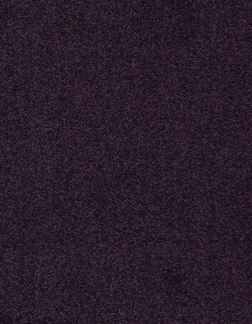 ZX Security Wellington