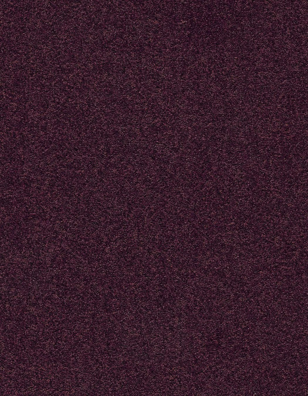 ZX Security Wellington