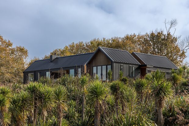 A low, contemporary multi-wing house set within dense native-style landscaping. The building has dark vertically ribbed metal roofing, dark framed glazing, timber-clad gabled volumes, and extensive floor-to-ceiling windows. Tall grasses and spiky plants dominate the foreground, with mature trees behind under an overcast sky.