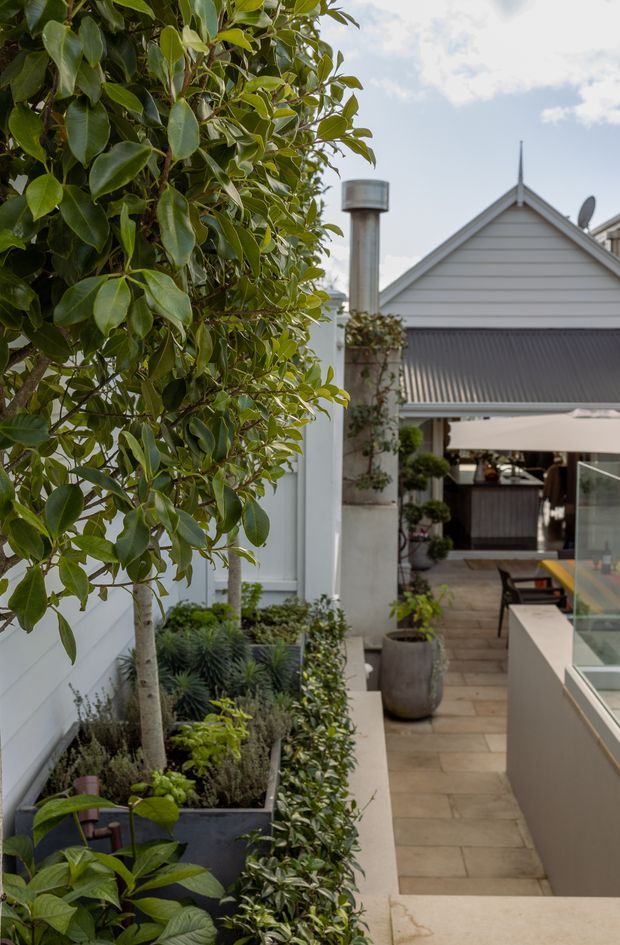 A landscaped outdoor courtyard or terrace beside a light-coloured weatherboard building. A narrow paved walkway is bordered by raised planters, mature leafy trees, shrubs, and potted topiary. The background shows a pitched gable roof with a metal roof surface, chimney, and an outdoor entertaining area with a large umbrella and glass-sided feature.