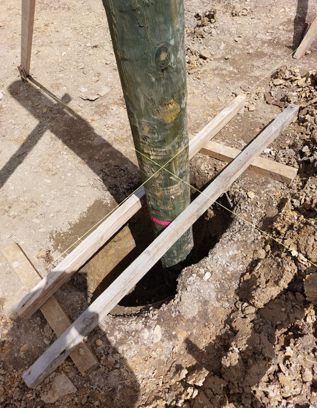 Support for poles whilst waiting for concrete