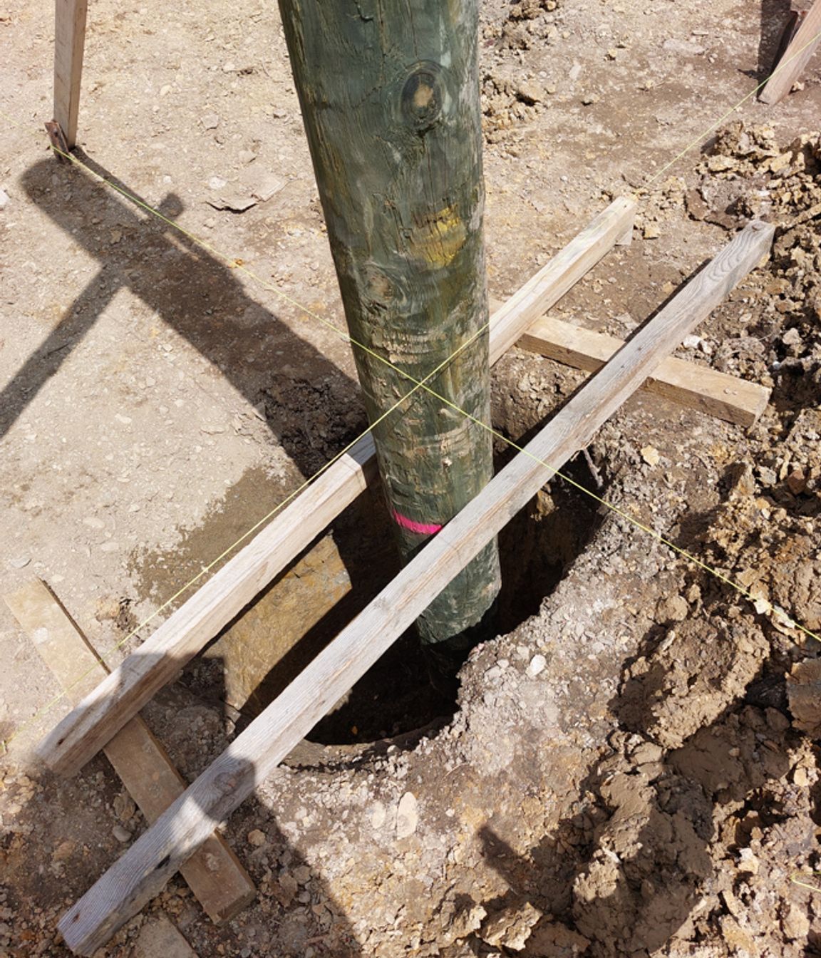 Support for poles whilst waiting for concrete