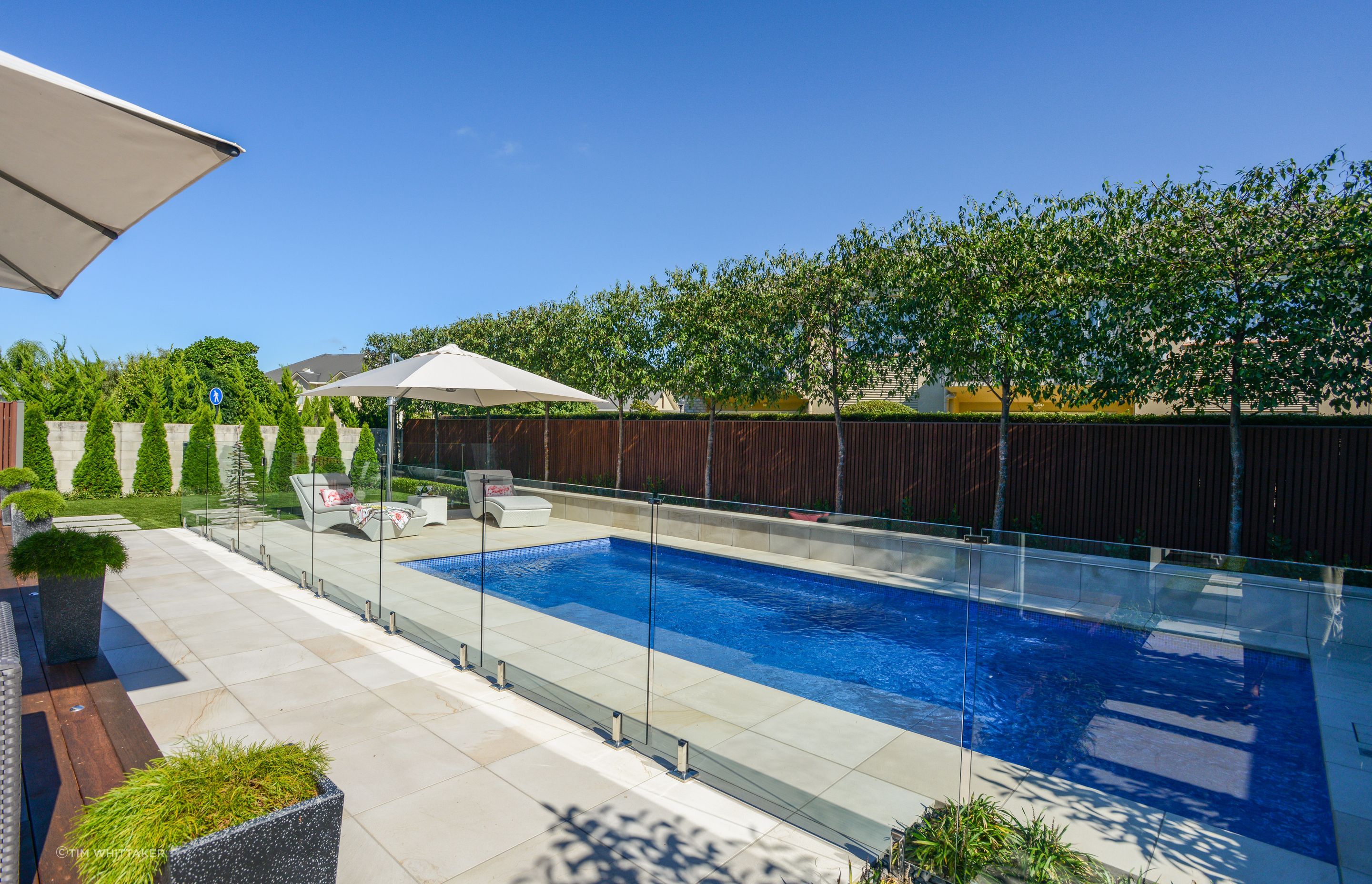 Backyard-Bliss-Tim-Whittaker-Photography-Picture-9.jpg