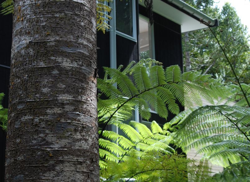 Little Huia House