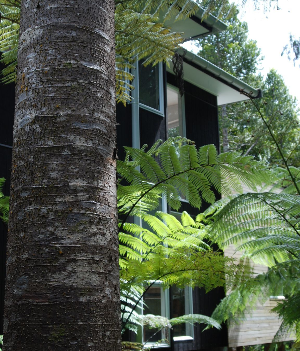 Little Huia House