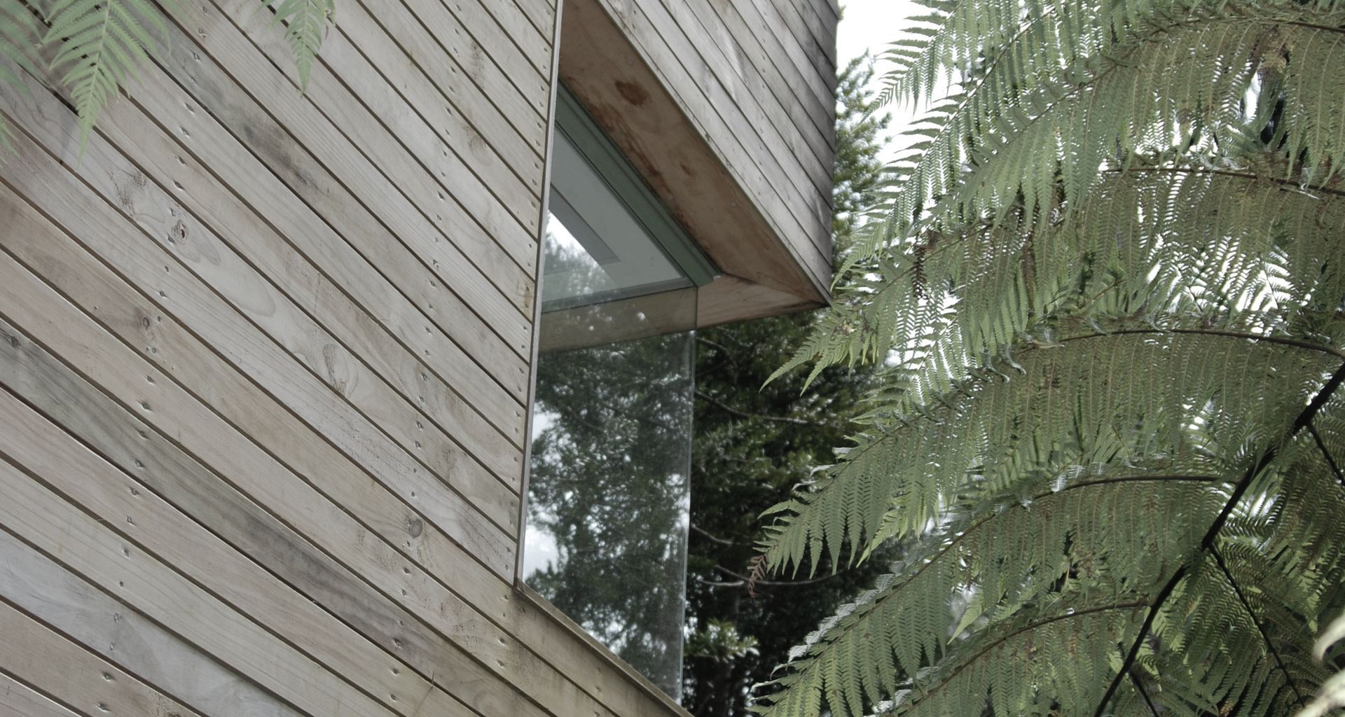 Little Huia House banner