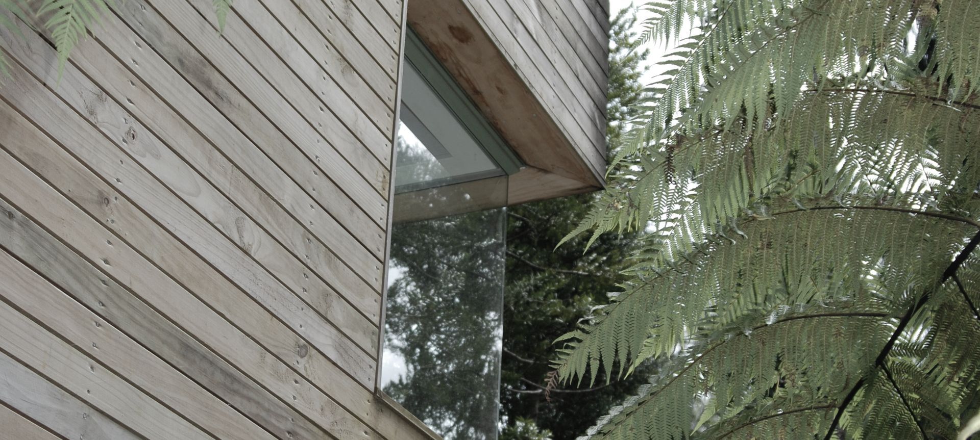 Little Huia House banner