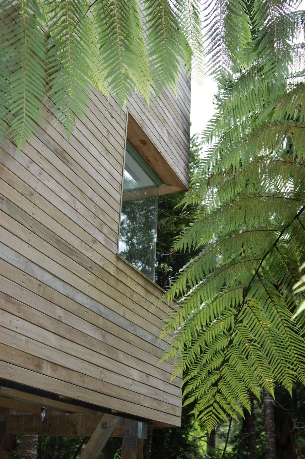 Little Huia House