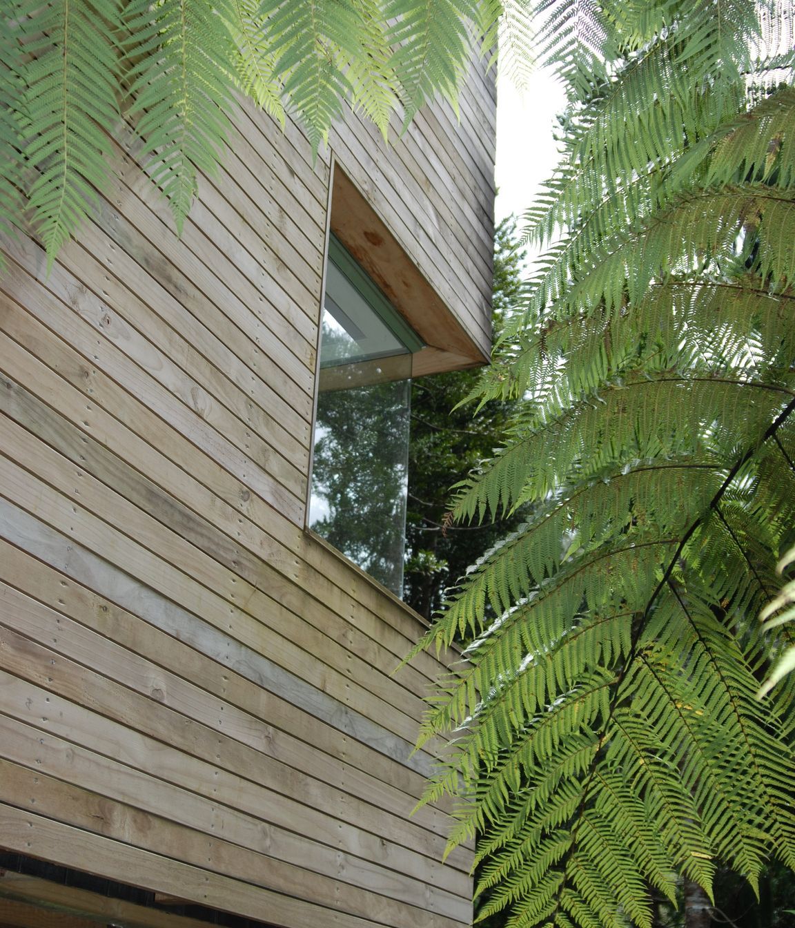 Little Huia House