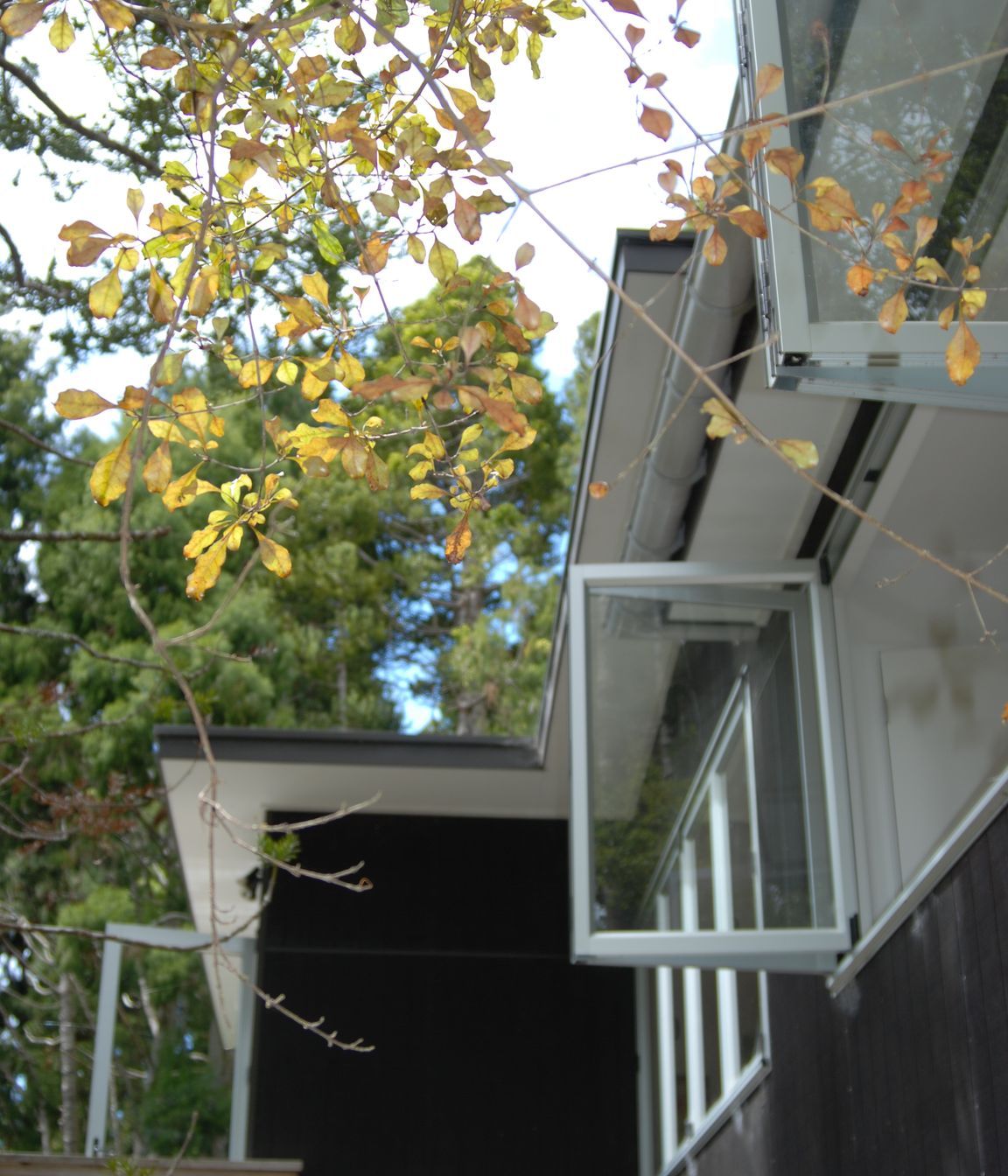 Little Huia House