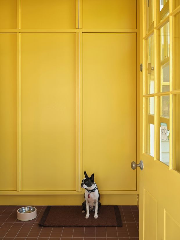 A warmly lit entryway with mustard-yellow paneled walls and matching built-in cabinetry, a glazed yellow door opening to the right, and dark reddish-brown tiled flooring. A small dog sits on a mat beside a pet bowl. The image has a cheerful, highly coordinated colour scheme and traditional panel detailing.