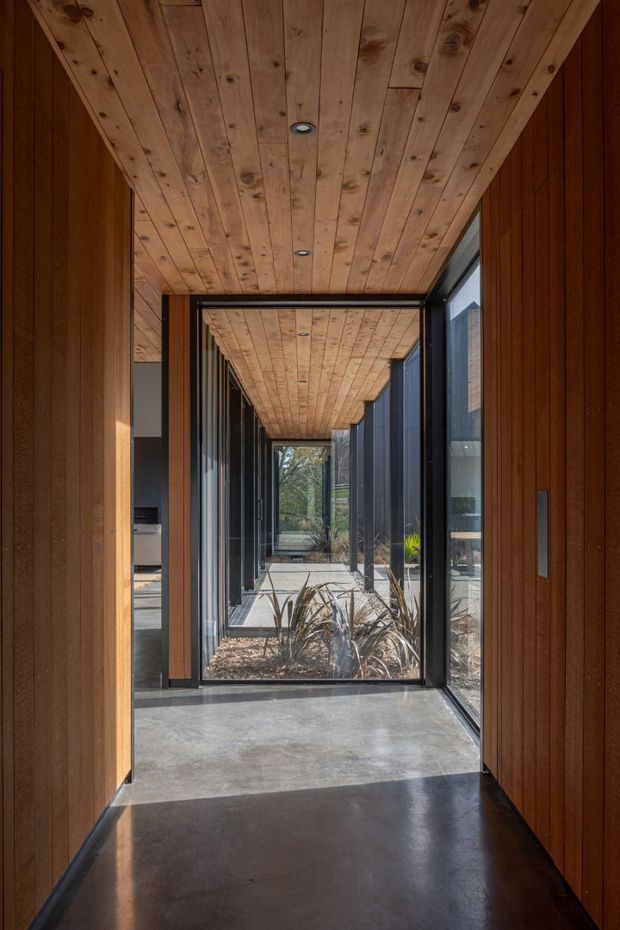 A narrow, light-filled architectural passageway with warm vertical timber wall cladding and a timber-planked ceiling with recessed downlights. Full-height black-framed glazing creates repeated views through the corridor toward a planted courtyard, while a polished concrete floor and dark threshold contrast with the wood. A glimpse of an adjoining interior room is visible at left.