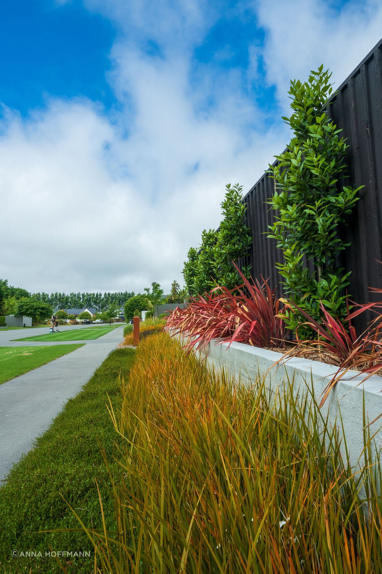Northwood Residence 