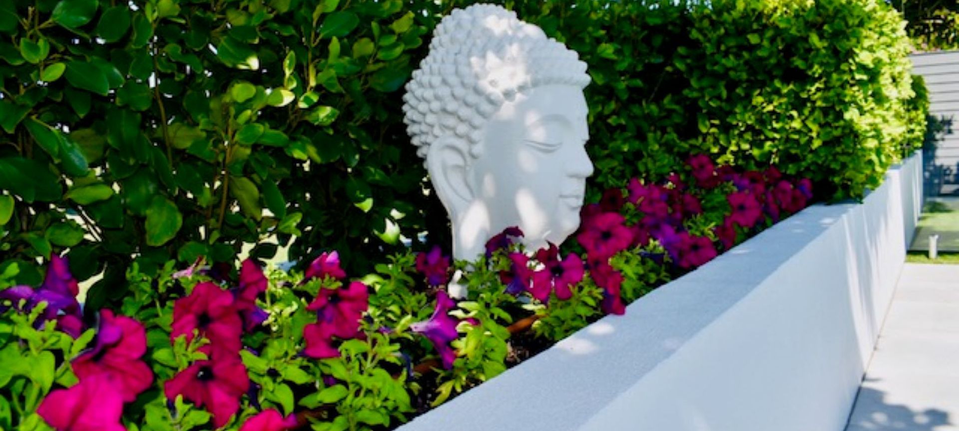 Resort Living banner