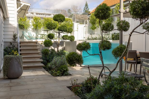 A bright landscaped courtyard with a turquoise swimming pool, pale stone paving, timber steps, clipped ornamental trees, and built-in garden planting. White weatherboard-clad buildings and a tiled roof surround the outdoor space, with a dining setting on the right.