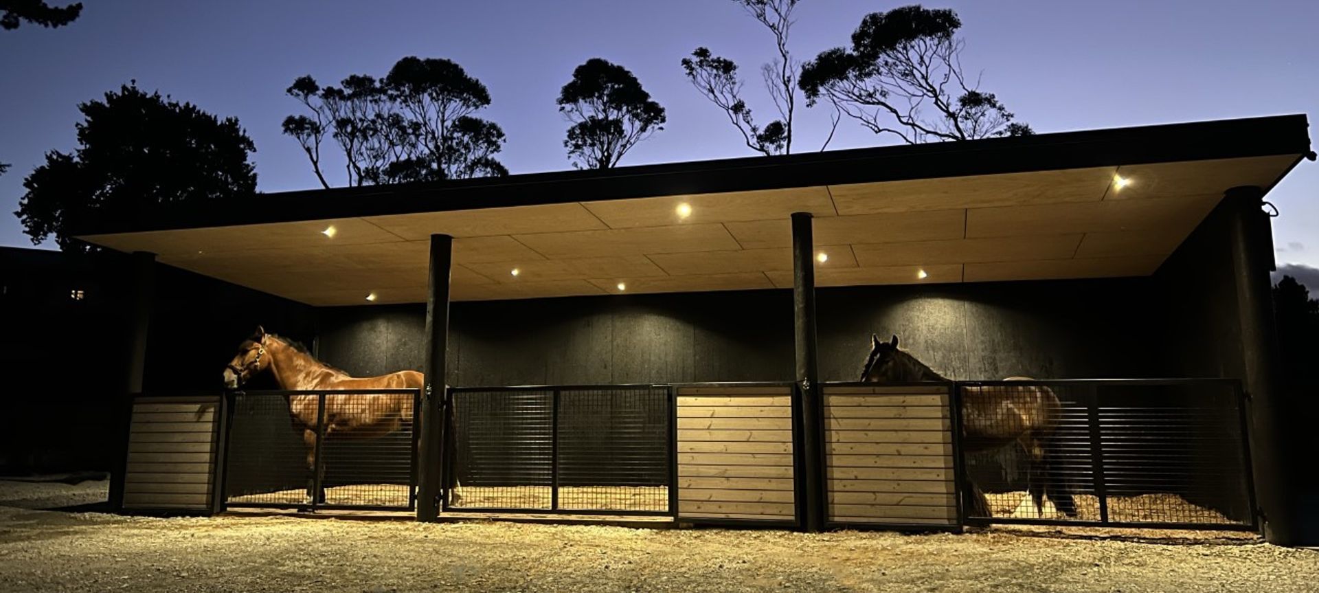 Taupaki Stables banner