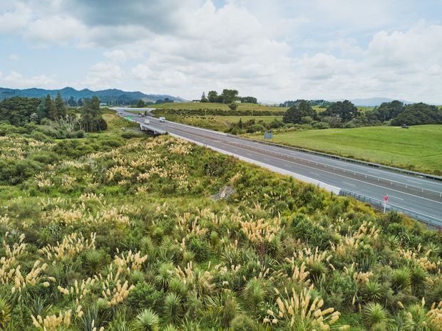 A broad rural landscape viewed from an elevated position, with a divided highway curving through dense native-looking vegetation and open green fields. Low hills and mountains sit beneath a partly cloudy sky in the distance. No building or architectural subject is visible.